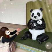 ヒメ日記 2025/05/26 21:22 投稿 まゆ ミセスLIPS