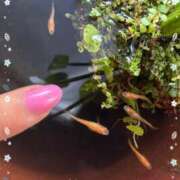 ヒメ日記 2025/06/20 21:07 投稿 まゆ ミセスLIPS