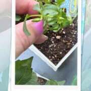 ヒメ日記 2025/06/23 17:47 投稿 まゆ ミセスLIPS