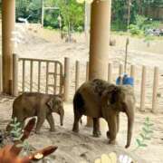 ヒメ日記 2025/07/02 20:47 投稿 まゆ ミセスLIPS