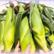 ヒメ日記 2025/08/08 20:52 投稿 まゆ ミセスLIPS