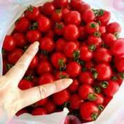 ヒメ日記 2025/08/15 20:57 投稿 まゆ ミセスLIPS