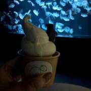 ヒメ日記 2025/09/13 15:57 投稿 まゆ ミセスLIPS