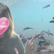 ヒメ日記 2025/10/08 20:42 投稿 まゆ ミセスLIPS