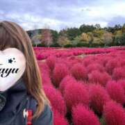 ヒメ日記 2025/10/22 20:22 投稿 まゆ ミセスLIPS