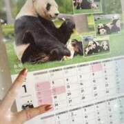 ヒメ日記 2025/12/31 23:07 投稿 まゆ ミセスLIPS