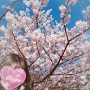 ヒメ日記 2026/03/11 20:42 投稿 まゆ ミセスLIPS