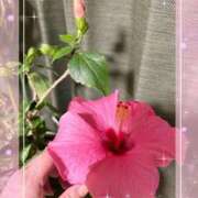 ヒメ日記 2026/03/26 20:27 投稿 まゆ ミセスLIPS