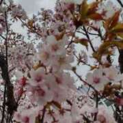 ヒメ日記 2025/05/05 11:12 投稿 あや ミセスLIPS