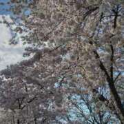 ヒメ日記 2025/05/08 12:42 投稿 あや ミセスLIPS