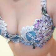 ヒメ日記 2025/12/21 11:57 投稿 あや ミセスLIPS