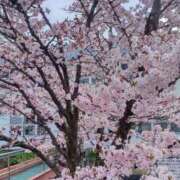 ヒメ日記 2026/04/21 19:52 投稿 あや ミセスLIPS