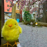 ヒメ日記 2025/03/17 23:23 投稿 清水くらら ママとお姉さん鶯谷