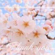 ヒメ日記 2026/04/07 01:28 投稿 みすず AVANCE福岡