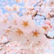 ヒメ日記 2026/04/12 23:28 投稿 みすず AVANCE福岡