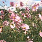 みわ お休みします ハッピーブリッジ