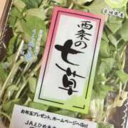 ヒメ日記 2025/01/07 08:33 投稿 葉月　ゆり タッチVIP