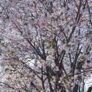 ヒメ日記 2025/04/29 08:12 投稿 葉月　ゆり タッチVIP