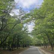 ヒメ日記 2025/05/27 07:57 投稿 葉月　ゆり タッチVIP