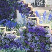 ヒメ日記 2025/06/29 05:36 投稿 葉月　ゆり タッチVIP