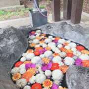 ヒメ日記 2025/09/25 08:18 投稿 葉月　ゆり タッチVIP