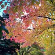 ヒメ日記 2025/10/22 09:03 投稿 葉月　ゆり タッチVIP