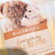 葉月　ゆり こんにちは タッチVIP