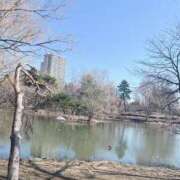 ヒメ日記 2026/04/17 10:03 投稿 葉月　ゆり タッチVIP