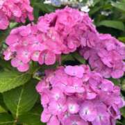 ヒメ日記 2026/07/20 13:57 投稿 葉月　ゆり タッチVIP