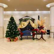 ヒメ日記 2024/12/23 07:48 投稿 山咲　花 タッチVIP