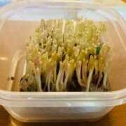 ヒメ日記 2025/01/23 07:27 投稿 山咲　花 タッチVIP