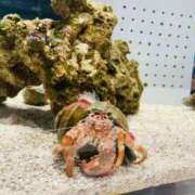 ヒメ日記 2025/02/24 07:42 投稿 山咲　花 タッチVIP