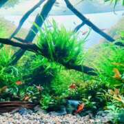 ヒメ日記 2025/03/02 07:49 投稿 山咲　花 タッチVIP