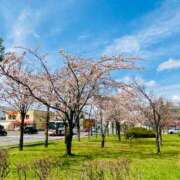 ヒメ日記 2025/05/06 07:48 投稿 山咲　花 タッチVIP