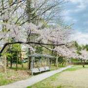 ヒメ日記 2025/05/21 07:36 投稿 山咲　花 タッチVIP