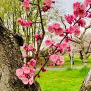 ヒメ日記 2025/05/24 07:42 投稿 山咲　花 タッチVIP