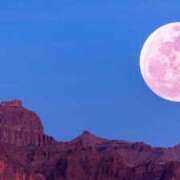 ヒメ日記 2025/06/11 07:42 投稿 山咲　花 タッチVIP