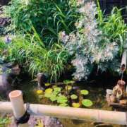 ヒメ日記 2025/06/15 07:48 投稿 山咲　花 タッチVIP