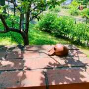 ヒメ日記 2025/06/26 07:27 投稿 山咲　花 タッチVIP