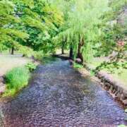 ヒメ日記 2025/07/10 07:27 投稿 山咲　花 タッチVIP