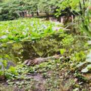 ヒメ日記 2025/08/24 07:33 投稿 山咲　花 タッチVIP