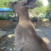 ヒメ日記 2025/09/14 08:00 投稿 山咲　花 タッチVIP