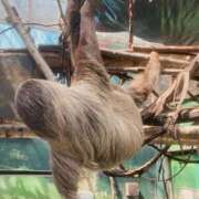 ヒメ日記 2025/09/27 07:39 投稿 山咲　花 タッチVIP