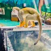 ヒメ日記 2025/09/30 07:54 投稿 山咲　花 タッチVIP