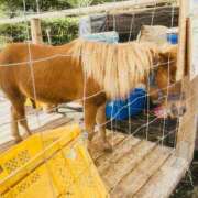 ヒメ日記 2025/10/07 07:57 投稿 山咲　花 タッチVIP