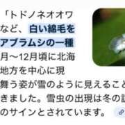 ヒメ日記 2025/11/03 07:51 投稿 山咲　花 タッチVIP