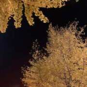 ヒメ日記 2025/11/09 07:33 投稿 山咲　花 タッチVIP