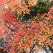 ヒメ日記 2025/11/25 07:42 投稿 山咲　花 タッチVIP