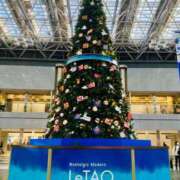 ヒメ日記 2025/12/24 07:18 投稿 山咲　花 タッチVIP