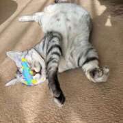 ヒメ日記 2026/07/07 07:48 投稿 山咲　花 タッチVIP